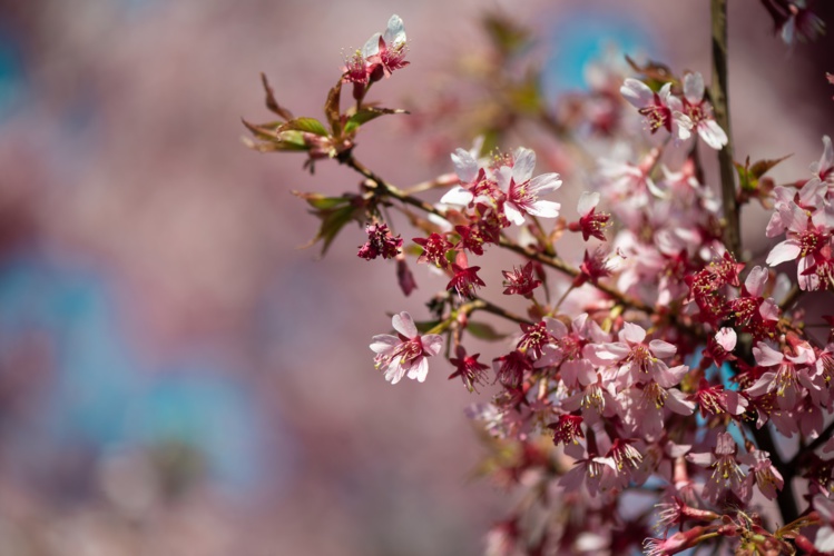 Photo by Sergey Shmidt on Unsplash