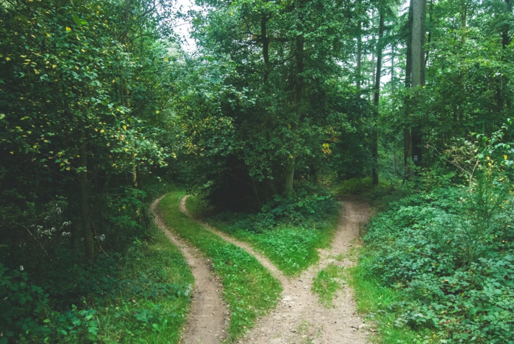 Photo by Nadi Whatisdelirium on Unsplash