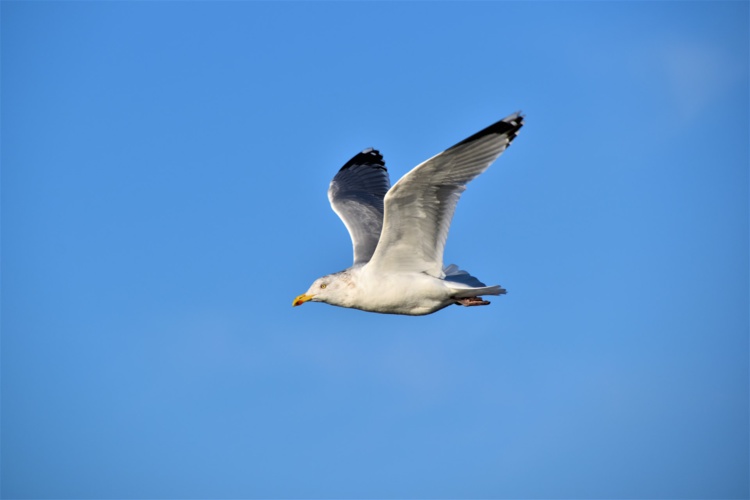 Photo by Waldemar Brandt on Unsplash