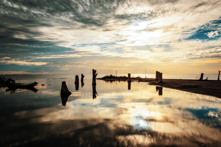 Photo by Rafael Hoyos Weht on Unsplash