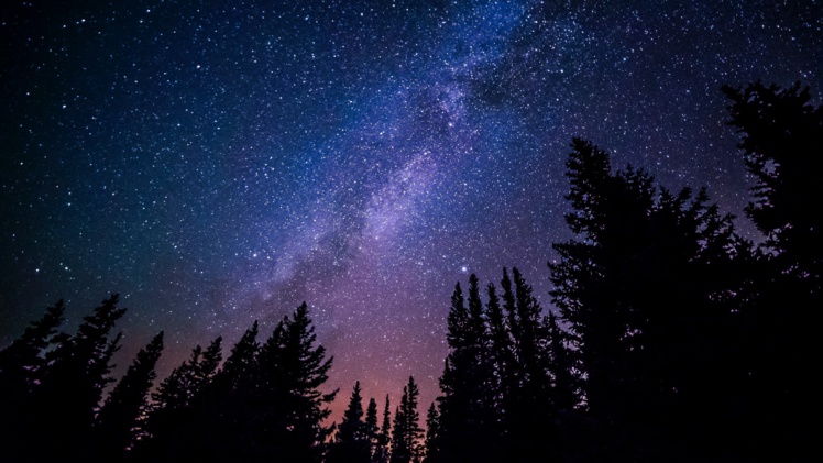 Photo by Ryan Hutton on Unsplash