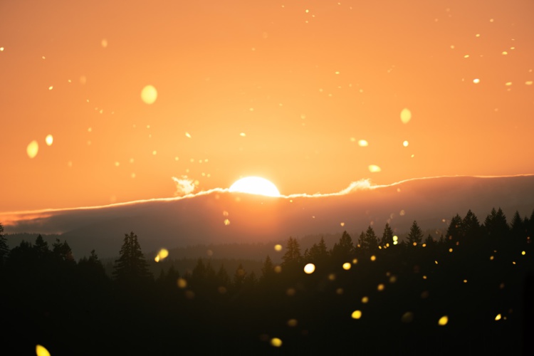 Photo by Cristofer Maximilian on Unsplash