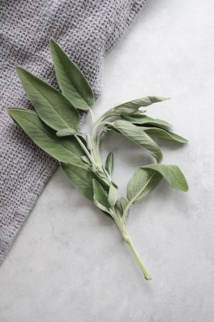 Photo by Paulina H. on Unsplash Photo by Paulina H. on Unsplash