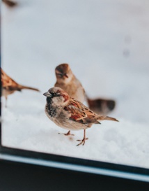 Photo by Marcos Paulo Prado on Unsplash