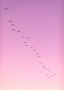 Photo by Dave Hoefler on Unsplash