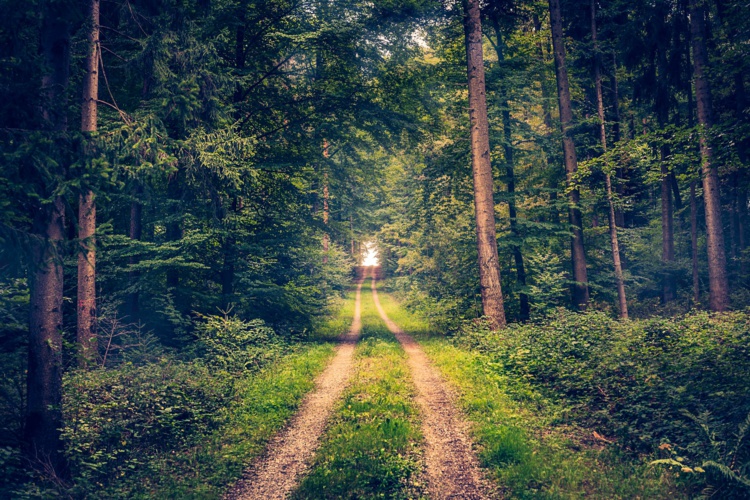 Photo by Alex Flash on Unsplash Photo by Alex Flash on Unsplash