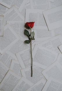 Photo by Annie Spratt on Unsplash