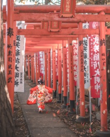 Photo by Eea Ikeda on Unsplash