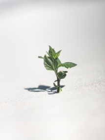 Photo by Marek Piwnicki on Unsplash