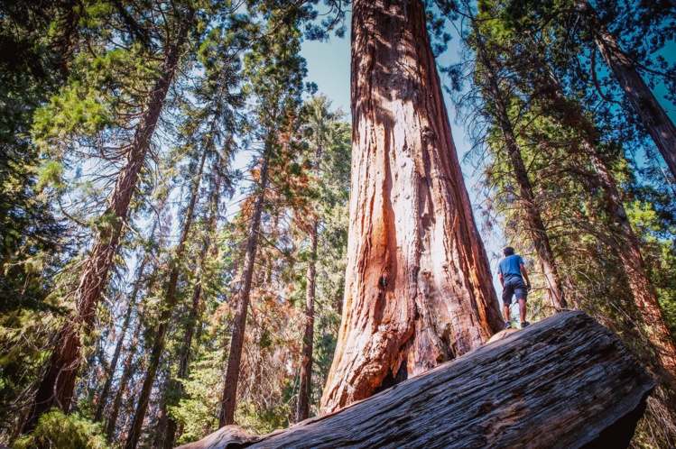 Photo by Andrew Jenkins on Unsplash