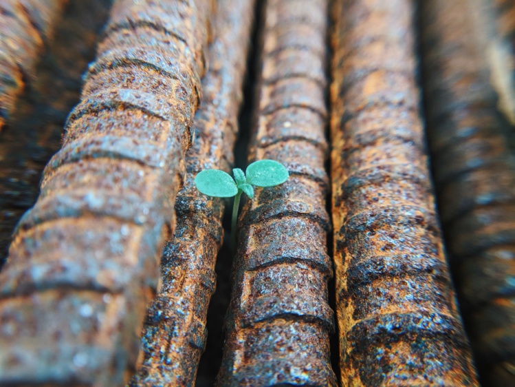 Photo by Faris Mohammed on Unsplash
