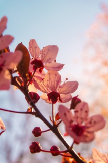 Photo by Hans Loebermann on Unsplash