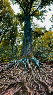 Foto de Omar Ram en Unsplash