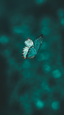 Foto de AARN GIRI en Unsplash