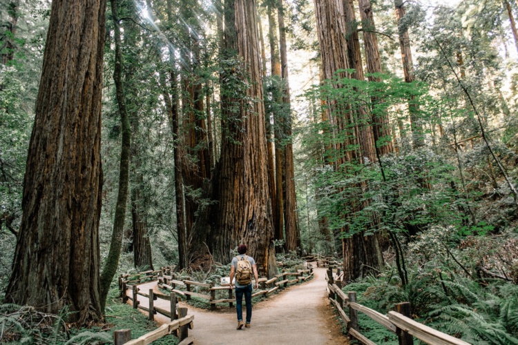 Foto de Caleb Jones en Unsplash