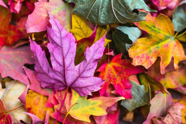 Foto de Jeremy Thomas en Unsplash