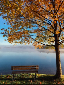 Foto de Aaron Burden en Unsplash