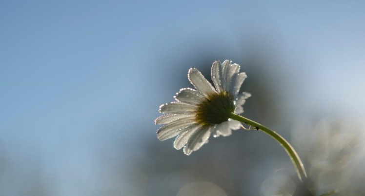Photo by Aaron Burden on Unsplash