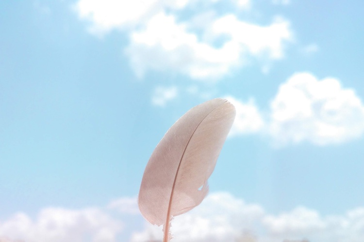 Foto de Hari Singh Tanwar en Unsplash