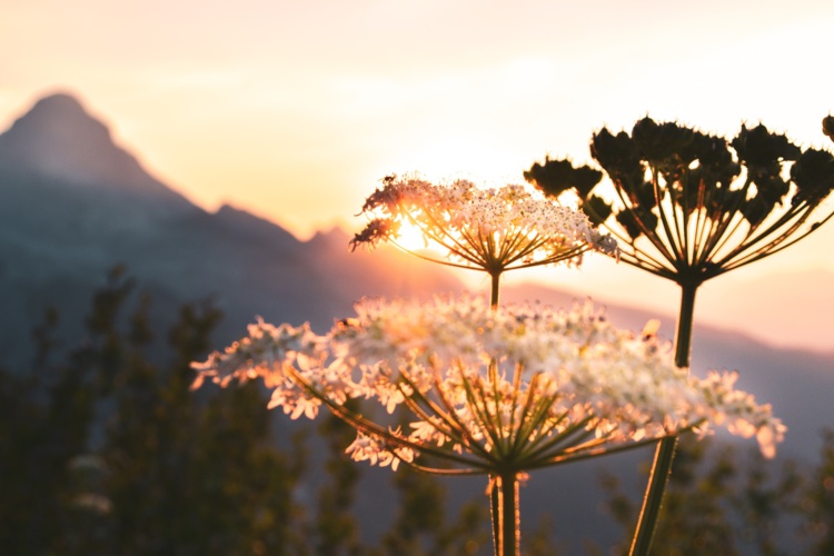 Foto de Jo Jo en Unsplash