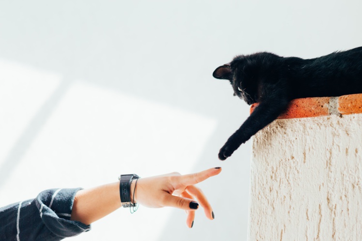 Foto de Humberto Arellano en Unsplash