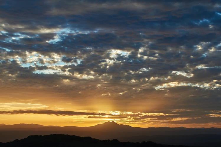 Foto de Wolfgang Hasselmann en Unsplash Foto de Wolfgang Hasselmann en Unsplash