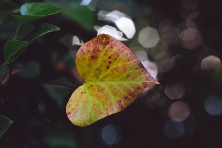 Foto de Markus Spiske en Unsplash Foto de Markus Spiske en Unsplash