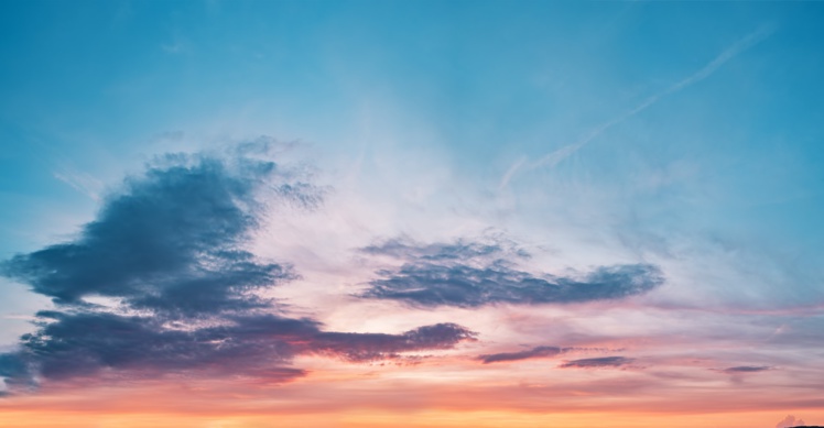 Foto de Simon Berger en Unsplash