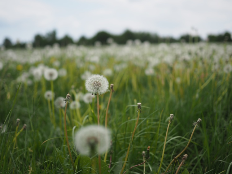 Foto de Niklas Ohlrogge en Unsplash Foto de Niklas Ohlrogge en Unsplash