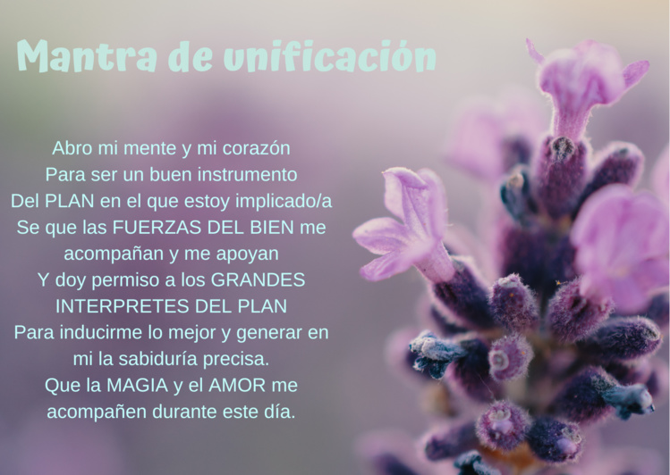 Vivir el Camino del Corazón Vivir el Camino del Corazón