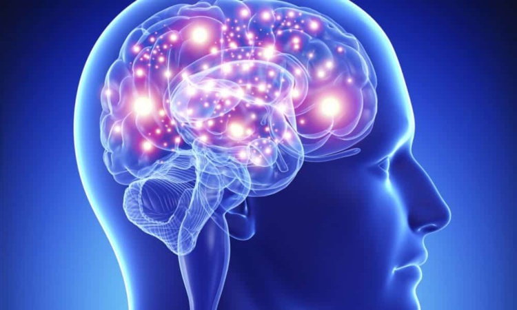 Terapia holística de bioenergética, diagnóstico intuitivo y cirugía astral