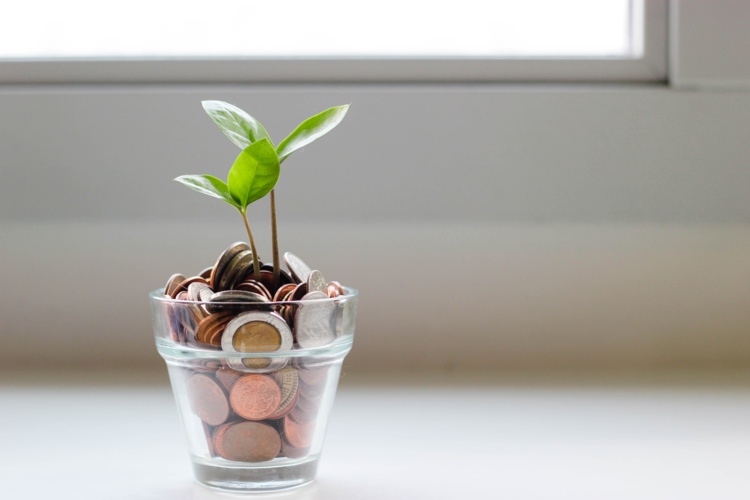 El alma del dinero