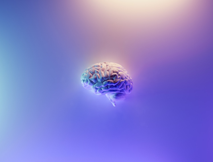 Foto de Milad Fakurian en Unsplash