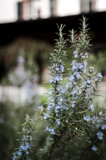 Foto de Corina Rainer en Unsplash