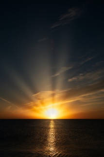 Foto de Todd Trapani en Unsplash Foto de Todd Trapani en Unsplash