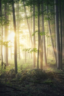 Foto de Michael Krahn en Unsplash