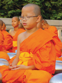 freeimages.com freeimages.com