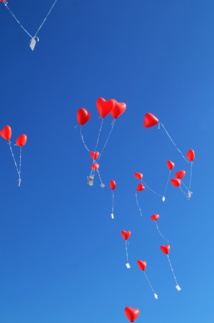 Foto de Margit Umbach en Unsplash Foto de Margit Umbach en Unsplash