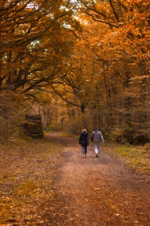 Foto de Annie Spratt en Unsplash