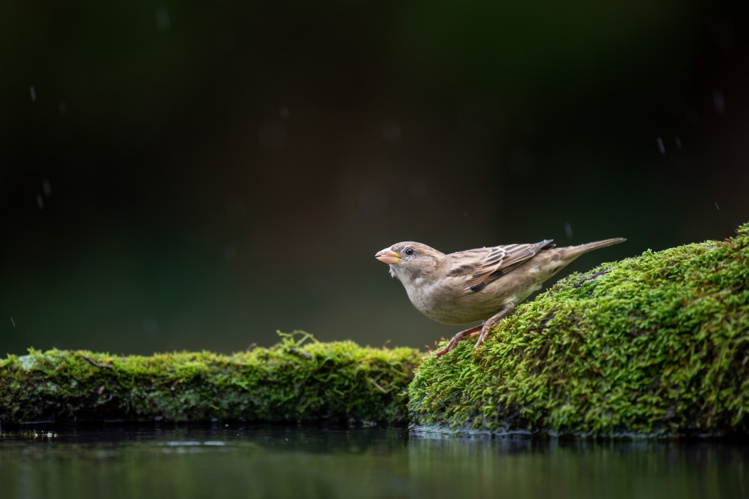 Foto de Ray Hennessy en Unsplash