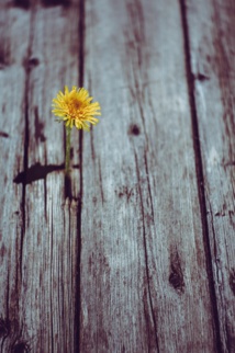 Foto de Markus Spiske en Unsplash