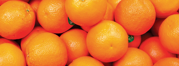 La naranja, nuestra fruta más emblemática