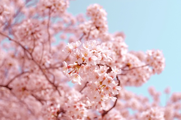 Foto de AJ en Unsplash