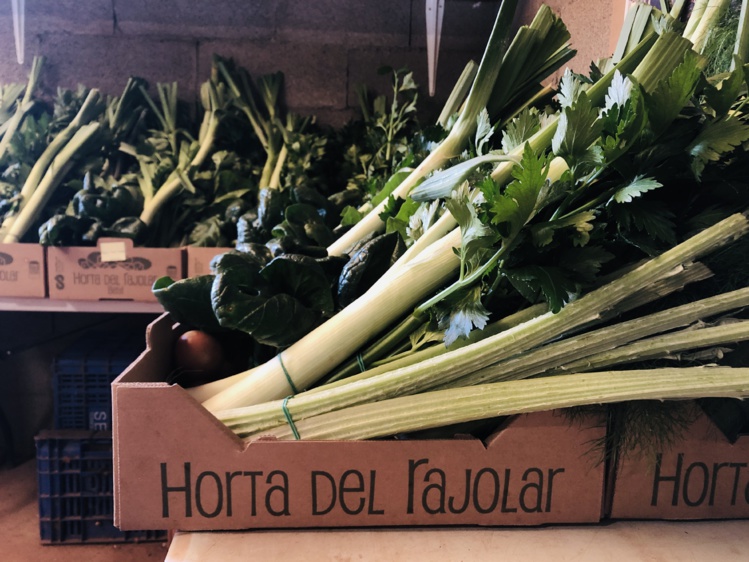 Proyecto "Horta del Rajolar"
