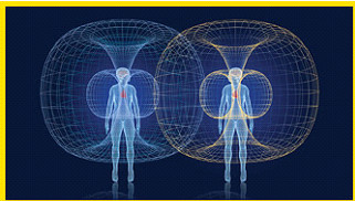 Descubrimientos de la neurocardiología