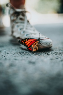 Foto de Nathan Dumlao en Unsplash Foto de Nathan Dumlao en Unsplash