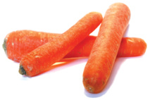 freeimages.com freeimages.com