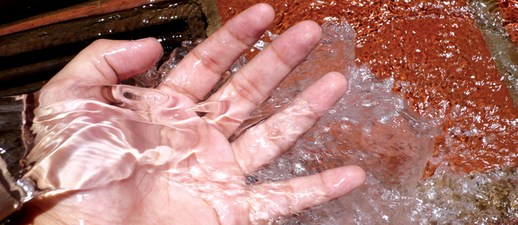 freeimages.com freeimages.com
