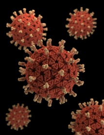 Foto de CDC en Unsplash Foto de CDC en Unsplash