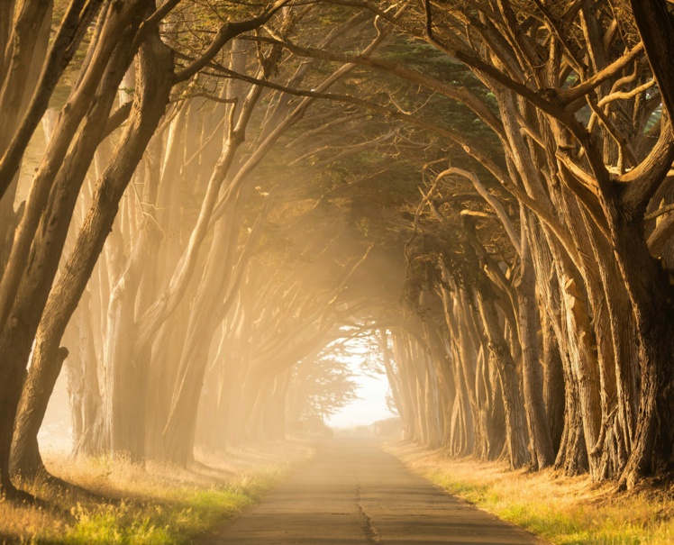 Foto de Leo_Visions en Unsplash